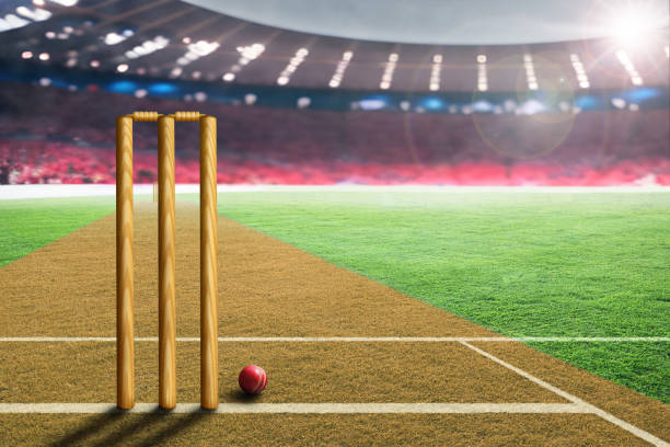 The role of data analytics in cricket talent scouting: Identifying future stars