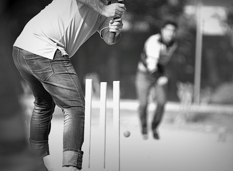 Cricket and Urban Development: Case Studies Supported by 11xplay Pro