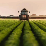 Agricultural Reforms 2025