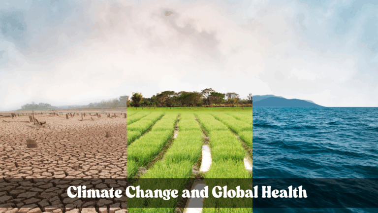Climate Change and Global Health: Understanding the Link and What It Means for India