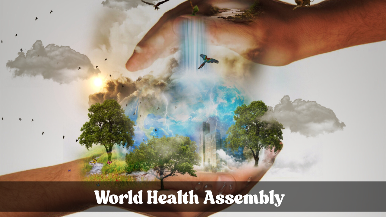 World Health Assembly