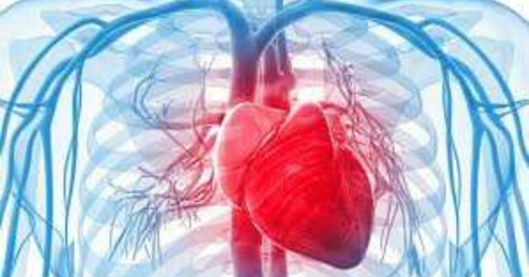 High Cholesterol Stem Cell Treatment India – A New Ray of Hope