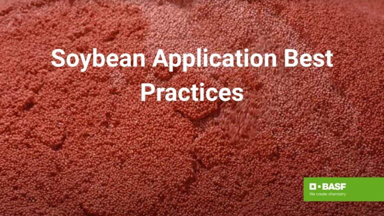 Understanding Online Cricket ID: Registration, Benefits, and Best Practices